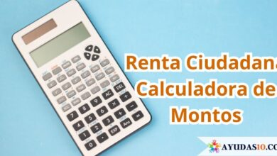 Renta Ciudadana Calculadora de Montos