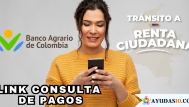 Renta Ciudadana: Consulte su modalidad de pago en el Banco Agrario