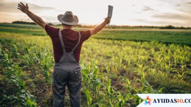 Familias en su Tierra: Subsidio para las víctimas del desplazamiento