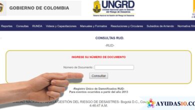 Verifica si eres beneficiario del bono de 500.000 pesos para jefes de hogar