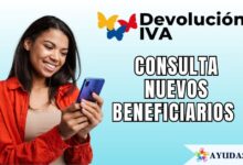 Nuevos beneficiarios de la Devolución del IVA: Consulta por cédula