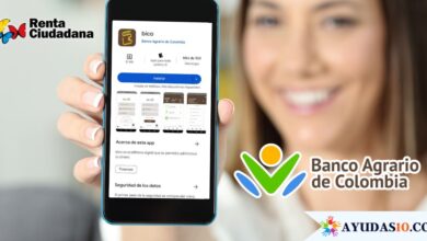 "Bico", la nueva App para recibir la Renta Ciudadana
