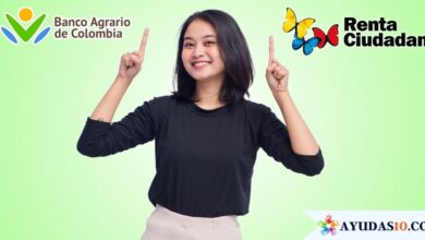 Corresponsabilidades de la Renta Ciudadana 2024
