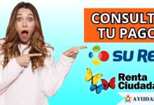 Cómo consultar el pago de la Renta Ciudadana en SuRed