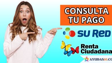 Cómo consultar el pago de la Renta Ciudadana en SuRed