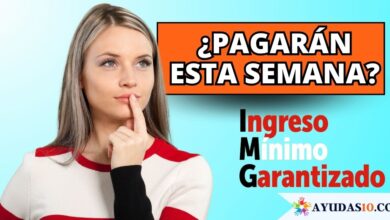 ¿Pagarán el Ingreso Mínimo Garantizado esta semana?