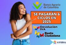 Banco Agrario: Se pagarán 6 ciclos de Renta e IVA en el 2025