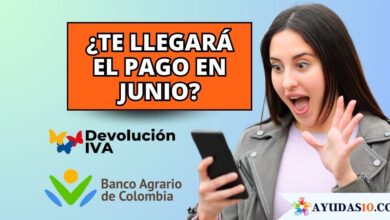 Consulta si recibirás el pago de Devolución del IVA en junio