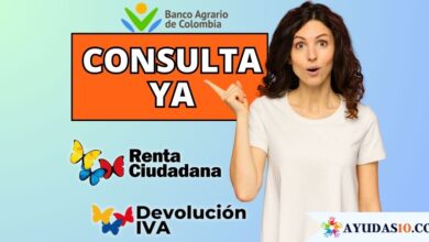 Banco Agrario: Consulta YA tu pago de Renta Ciudadana o Devolución del IVA