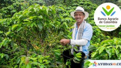 Productores rurales reciben créditos del Banco Agrario