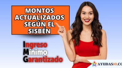 Cuánto pagan por el Ingreso Mínimo Garantizado en Bogotá