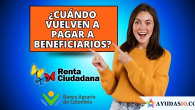 Consulta del tercer pago de Renta Ciudadana 2025