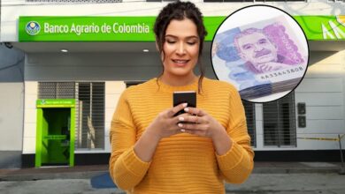 Pagos de Renta Ciudadana y Devolución del IVA en agosto