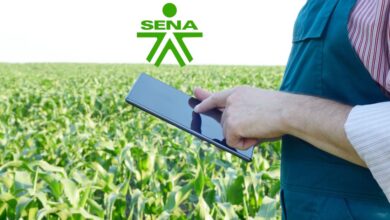 Víctima del conflicto armado accede a certificación laboral virtual con el SENA desde zona rural