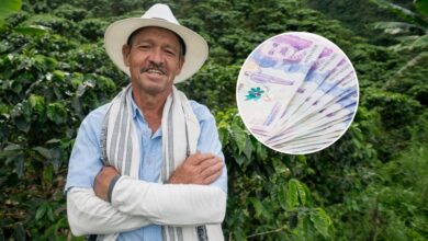 Pequeños agricultores colombianos protegidos con seguros subsidiados