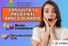 Banco Agrario: Consulta el pago de septiembre Renta o IVA
