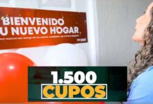 Familias beneficiarias de Reactiva tu Compra en Bogotá celebran aumento de subsidios 2025