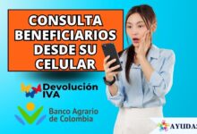 Consulta de beneficiarios Devolución del IVA 2025 desde un celular, portal Prosperidad Social