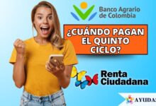 mujer consultando el pago de Renta Ciudadana