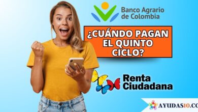 mujer consultando el pago de Renta Ciudadana