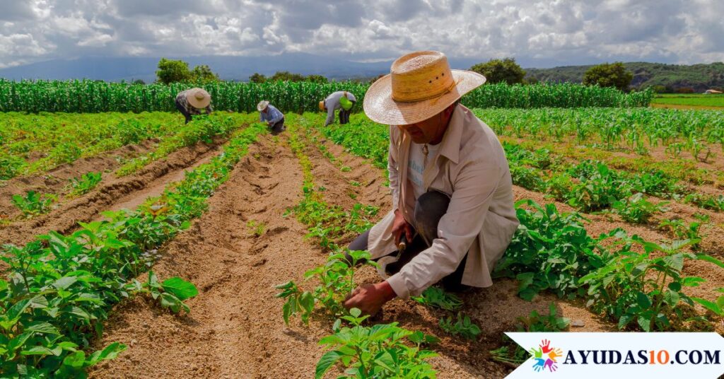 Familias beneficiadas con el Subsidio 'Familias en su Tierra' de la Unidad de Víctimas