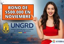 Giro de $500.000 de la UNGRD a damnificados