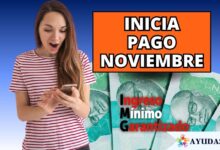 pago noviembre IMG