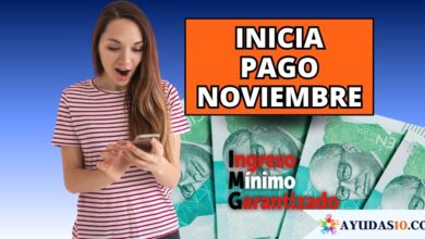 pago noviembre IMG