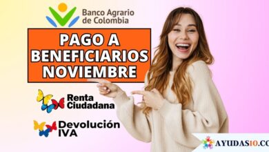 link de pago renta ciudadana banco agrario