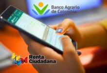 Nuevo número de WhatsApp del Banco Agrario para consultas de Renta Ciudadana.