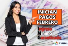 pago del IMG febrero