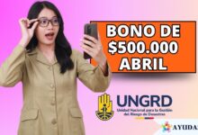 Ciudadano consultando el pago del bono de 500 mil pesos de la UNGRD