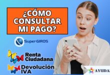 consultar si tengo un pago de Renta Ciudadana o Devolución del IVA