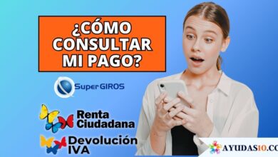 consultar si tengo un pago de Renta Ciudadana o Devolución del IVA
