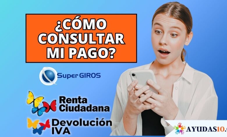 consultar si tengo un pago de Renta Ciudadana o Devolución del IVA