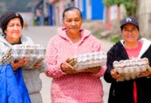 Familias vulnerables recibiendo cubetas de huevos del programa Alimentos para la Vida de Prosperidad Social