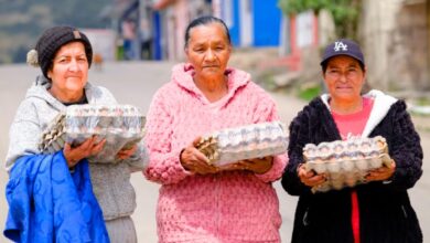 Familias vulnerables recibiendo cubetas de huevos del programa Alimentos para la Vida de Prosperidad Social