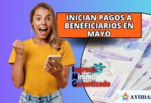 consultando el pago del Ingreso Mínimo Garantizado en su teléfono móvil