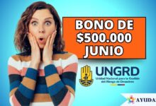 Beneficiario de la UNGRD consultando el estado de su bono de 500 mil pesos