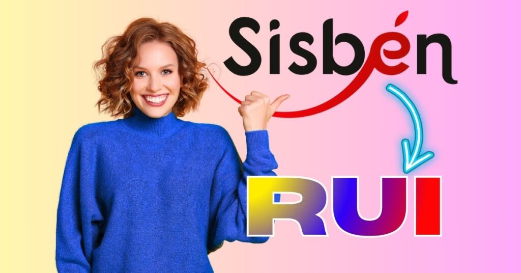 nueva clasificación del Registro Universal de Ingresos RUI
