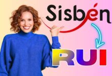 nueva clasificación del Registro Universal de Ingresos RUI