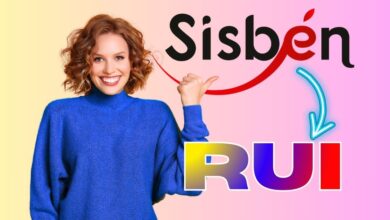 nueva clasificación del Registro Universal de Ingresos RUI