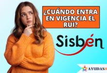 Cuándo entra en vigencia el RUI
