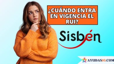 Cuándo entra en vigencia el RUI