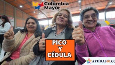 Adulto mayor en Bogotá verificando la cédula de ciudadanía para cobrar el sexto ciclo de Colombia Mayor