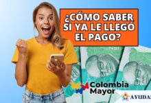 mujer consultando el estado de su pago de subsidio con la cédula de ciudadanía en un celular