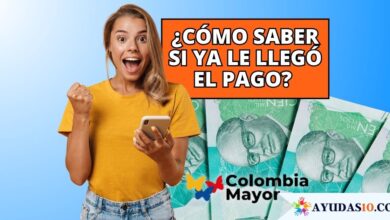 mujer consultando el estado de su pago de subsidio con la cédula de ciudadanía en un celular