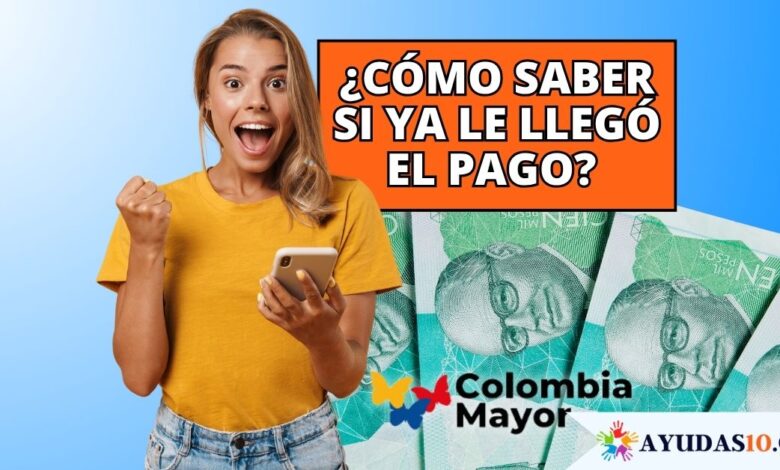 mujer consultando el estado de su pago de subsidio con la cédula de ciudadanía en un celular