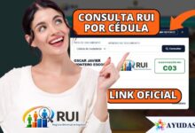 link oficial del RUI en la Ventanilla Social del DNP