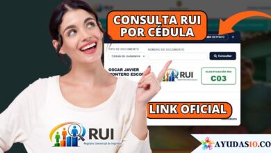 link oficial del RUI en la Ventanilla Social del DNP